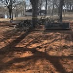 Junior Dunning - @juniordunning - Instagram