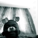 Junior Gibson - @junior.gibson.739 - Instagram