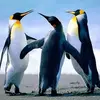 juniorgriffith987 - @juniorgriffith987 - TikTok