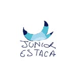 Junior ESTACA Student - @junior_hesstaca - Instagram