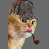 Shercat Holmes Junior - @shercatholmesjunior - TikTok