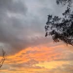 Junior Howard - @juniorhoward484 - Instagram