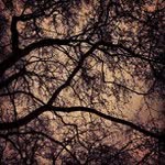 Junior Huffman - @juniorhuffman - Instagram