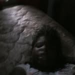 @lilmaddoxjunior - Instagram