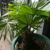 Junior Mann - @junior.mann4 - TikTok