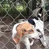 Junior Marsh310 - @juniormarsh57 - TikTok