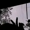 Junior Mcgee - @junior.mcgee64 - TikTok