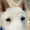 Junior_McGee - @junior_mcgee - TikTok