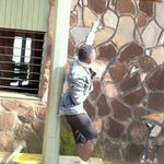 junior de monroe - @junior_de_monroe - Instagram
