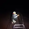 owens Junior - @owens.junior - TikTok