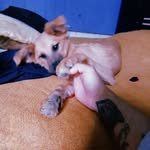 Junior Palacios - @christian_junior_pr - Instagram