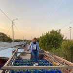 Junior Palacios - @junior_palacios7060 - Instagram