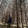 Junior Palacios - @junior.palacios19 - TikTok