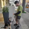 Tio Junior - @juniorpersonaldog - TikTok