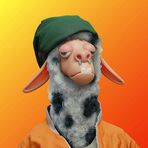 Junior Raymond - Facebook