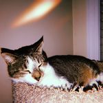 junior reed - @junior_cole_reed - Instagram