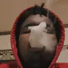 Junior Savage - @juniorsavage747 - TikTok