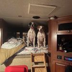 Junior Sims - @junior.sims - Instagram