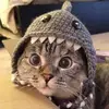 simssjunior - @simssjunior - TikTok
