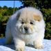 Junior Singh - Facebook
