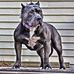 Junior Suarez - Facebook