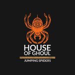 junior Vega - @houseofghoul_spoods - Instagram