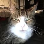 Junior Wiggins - @mr.grumpy1993 - Instagram