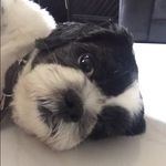Junior Boyboy Wong - @jrboyboy - Instagram