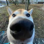 杨俊杰 - Facebook