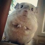 李俊龙 - @junlong.li - Instagram