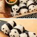 Junqi Li - Facebook