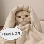 최준석 - @choi.junseok - Instagram