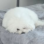 Junseok Choi - @junseok.choi.718 - Instagram