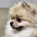 Junseok Choi - @trunoobie - Instagram