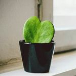 Ibrahim - @just_checking_00 - Instagram