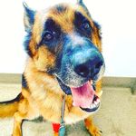 JR. - @just_checking_the_gram - Instagram