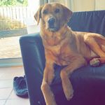 Sandra - @just_checking_a_d - Instagram