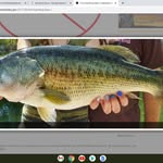 Justice Cox - @44slimey_bass_fishing - Instagram