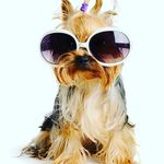 Justice Hamilton - @justicehamilton200 - Instagram