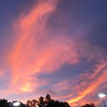 Justicehamilton - @gymnastics_gwykid3 - Instagram