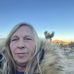 Justice Denise Warren - Facebook