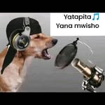 Justin Abdallah - @hboy6342 - Instagram