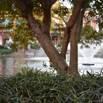 Justin Allgood - @justin__allgood_photography - Instagram