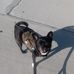 Justin Auld - Facebook