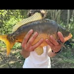 @justinbairin - Instagram