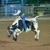 justinbaird08 - @justinbaird08 - TikTok