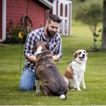 Justin Barbeau - @_barbeau_ - Instagram