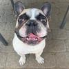 Justin Bates - @justin.batess - TikTok