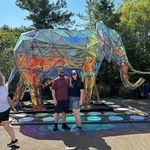 Justin Behr - @behrski - Instagram