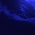 Justin Bench - @benchjustin - Instagram